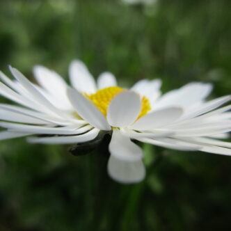 Mercredi 17 décembre 2025 <strong>Atelier d'écriture</strong> 14h à l'Unité de Gaïa