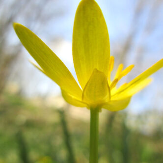 Jeudi 4 décembre 2025 <strong>Écrire chez Andrée</strong> 10h à Laleu