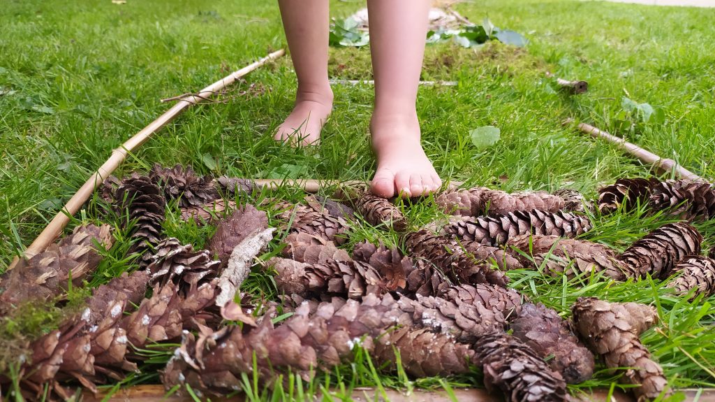 Jeudi 16 juillet 2026 <strong>Connexion à la nature</strong> 14h à St-Denis-sur-Sarthon